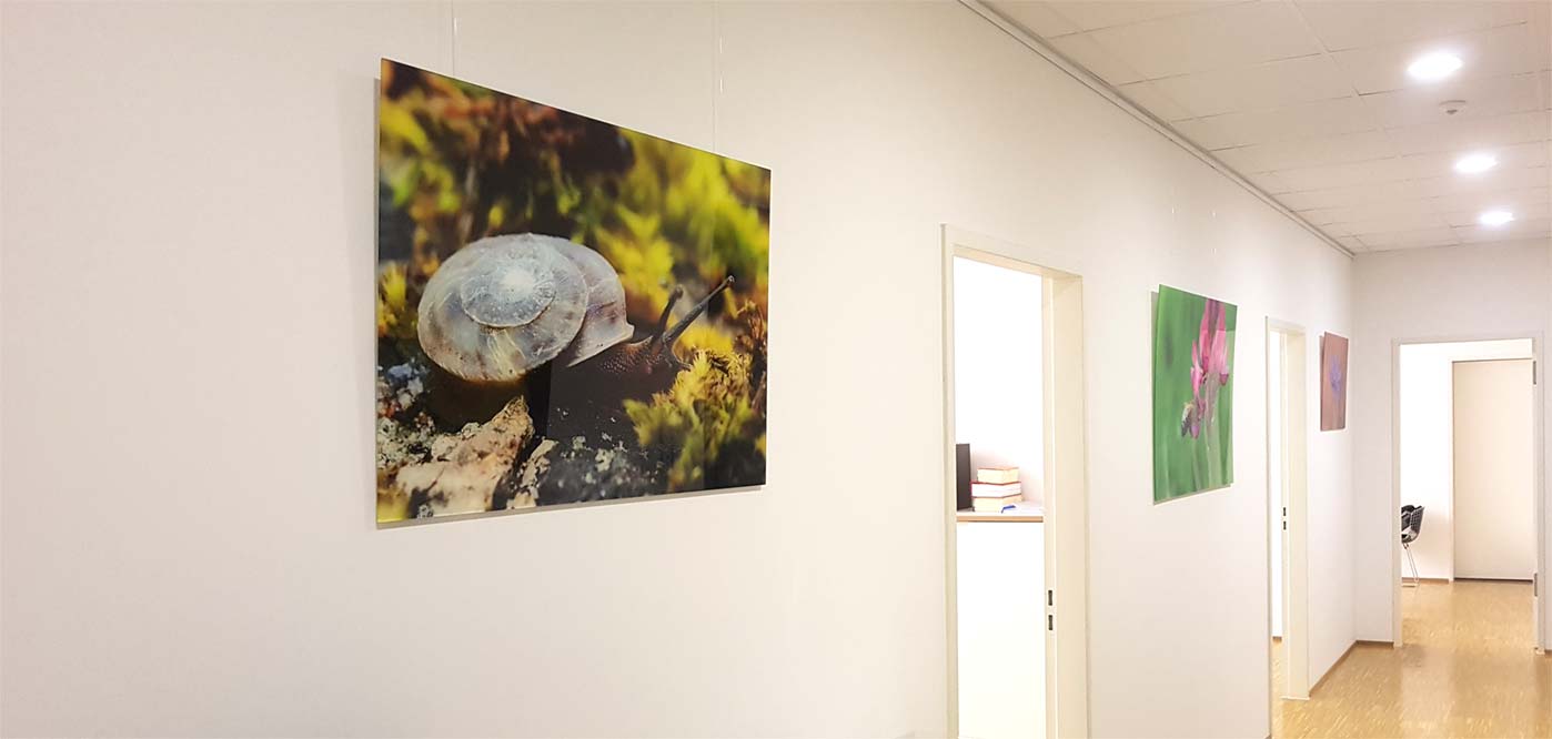 Ausstellung_2